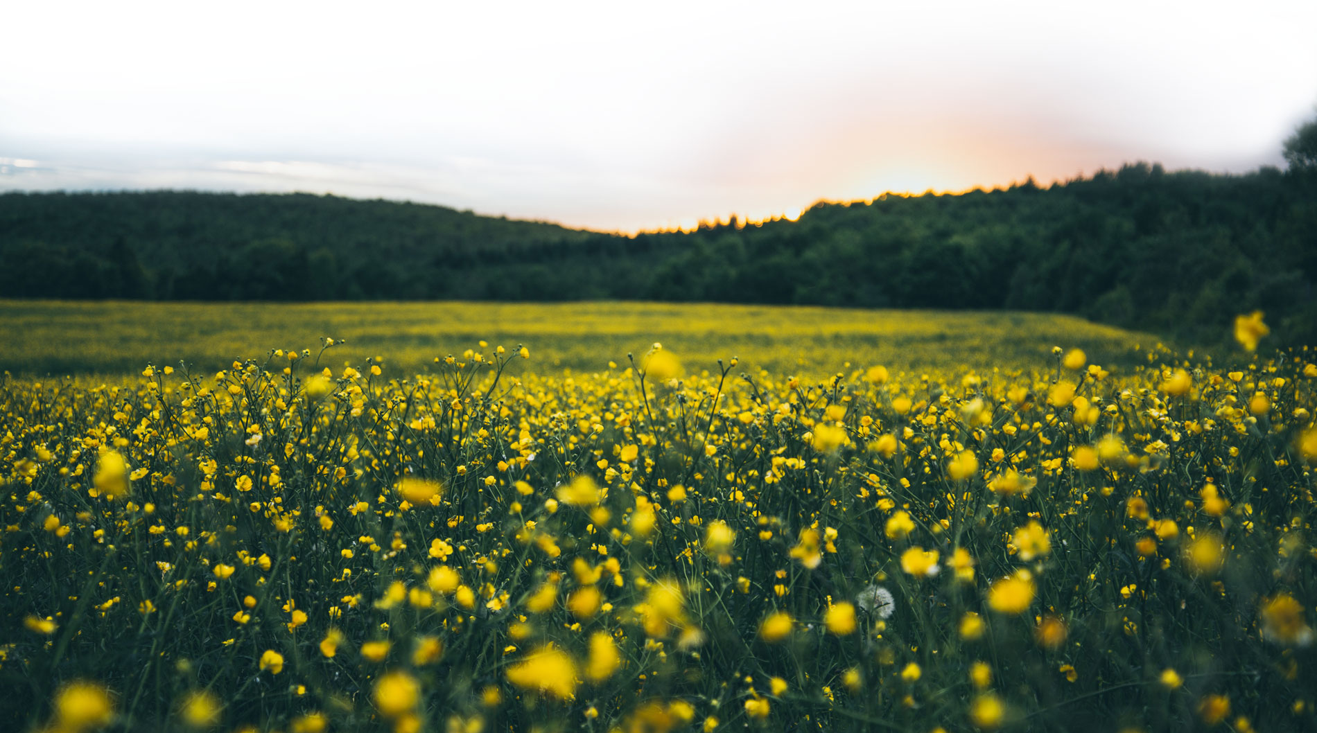 sebastien-marchand-D1hFw0zEaKs-unsplash_MIN_4